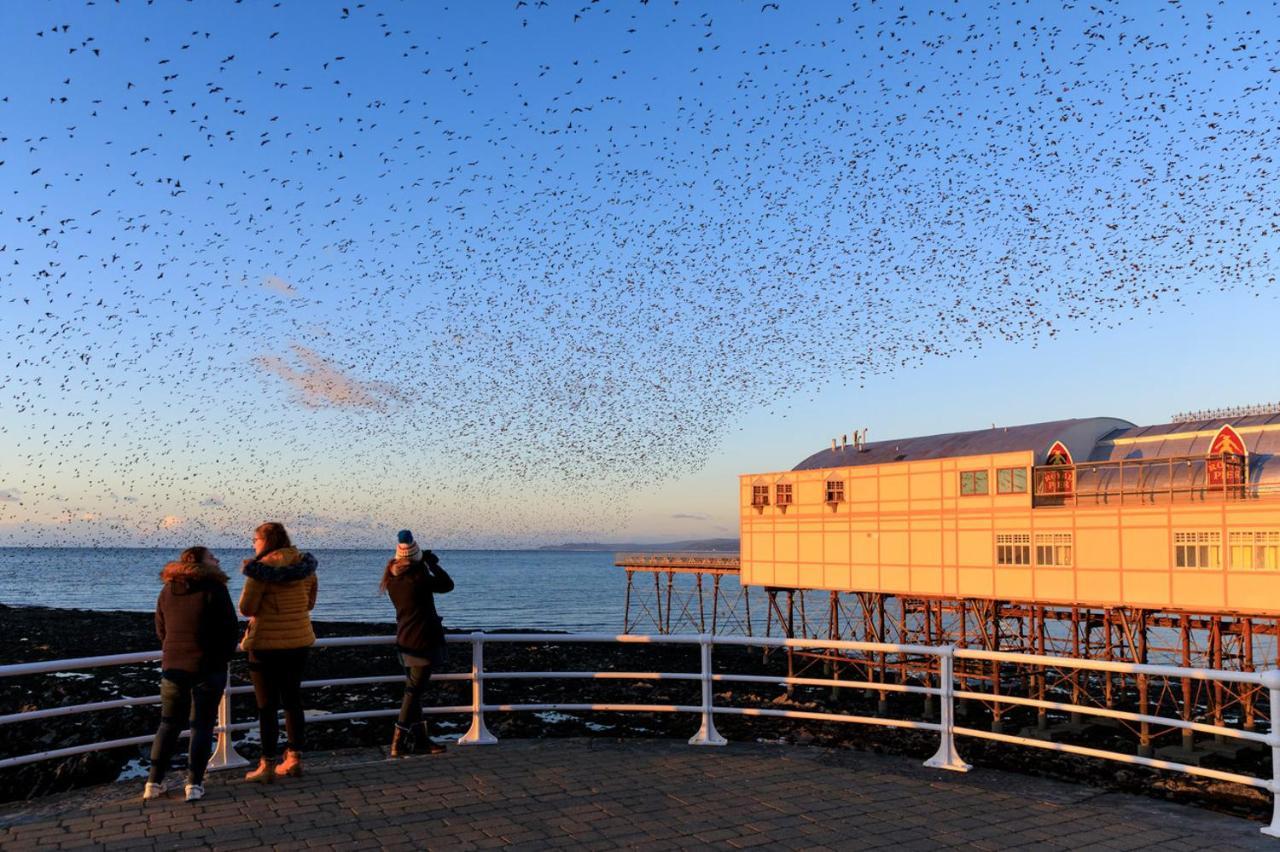 New Central Seafront Apartment- Stunning Sea Views Aberystwyth Exterior foto